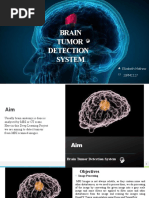 Brain Tumor Detection Abstract