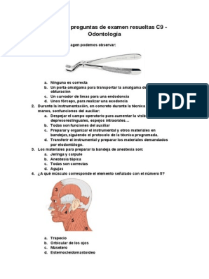 Tus dudas sobre odontología infantil, resueltas.