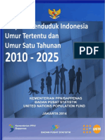 BPS Indonesia Population Projections by Age Group and Single Year of Age 2010-2025