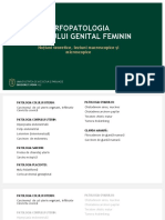 Patologia Aparatului Genital Feminin 2021update