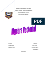 Algebra Vectorial