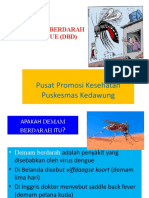 Pusat Promosi Kesehatan Puskesmas Kedawung: Demam Berdarah Dengue (DBD)