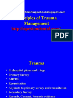 Trauma - in Detail