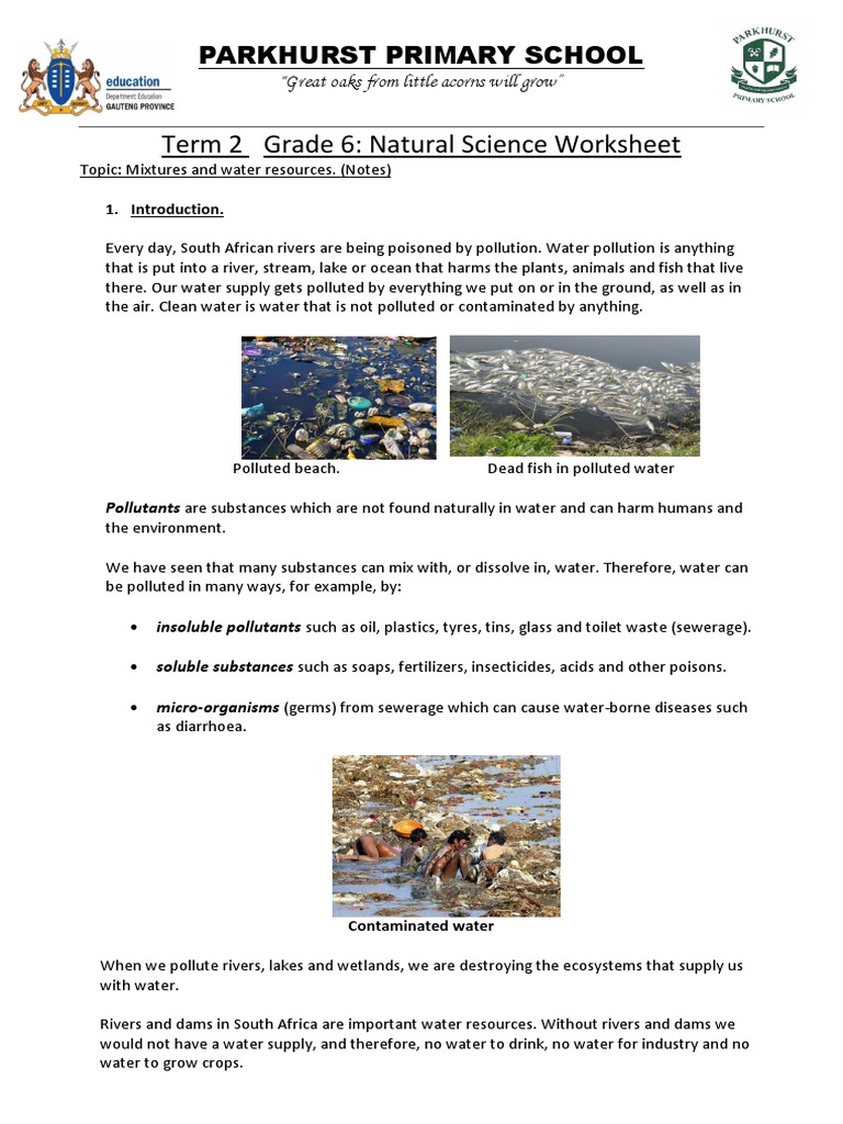 Grade 6 Water Pollution and Wetlands Notes | PDF | Water Purification ...