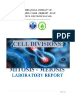 Mitosis and Meiosis Lab Report