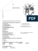 Prueba Diagnóstica