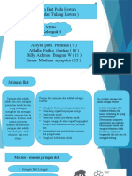 Kelompok 3 (Jaringan Ikat Tulang Rawan Dan Keras ) - XI IPA 1 - Biologi - PPT Presentasi