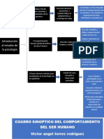 Cuadro Sinoptico Tarea 1 Introduccion Al Estudio de La Psicologia