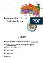 Movement Across The Cell Membrane