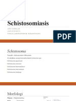 Schistosomiasis Tugas
