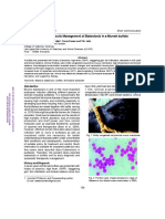 Diagnosis and treatment of babesiosis in a Murrah buffalo