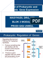 Control of Prokaryotic and Eukaryotic Gene Expression