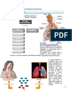 Respiratório UFCD 6566