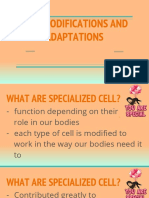 Cell Modifications and Adaptations