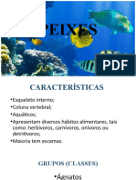 AULA PEIXES