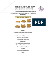 INFORME- PRACTICA N°2- JEFFER ROMERO NEIRA