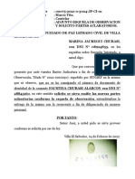 Adjunto Esquela de Observacion y Emitir Nuevas Partes Marina Jauregui