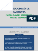 01 Metodologia Auditoria Red Federal de Control Publico