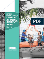 Derecho Al Medio Ambiente Sano 2018