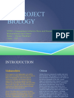 Ail Project Biology
