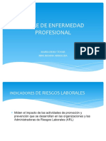 Presentacion Indice de Enfermedad Profesional