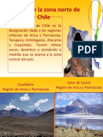 Articles-22891 Recurso PPT