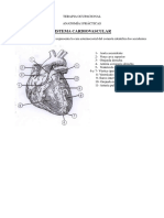 Practicas Cardiovascular