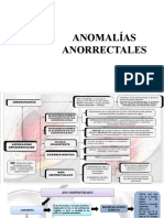 anomalias anorrectales
