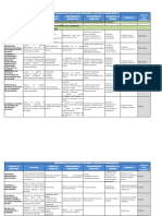 M2 Programa P.preliminar