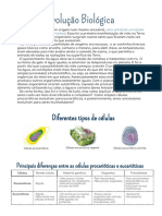 Como células simples evoluíram para organismos multicelulares