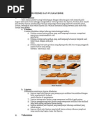 Download Gejala Diastropisme Dan Vulkanisme1 by Monoel A Vndor SN55811689 doc pdf