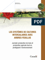 Agroforesterie Cultures Intercalaires FR (1mo)