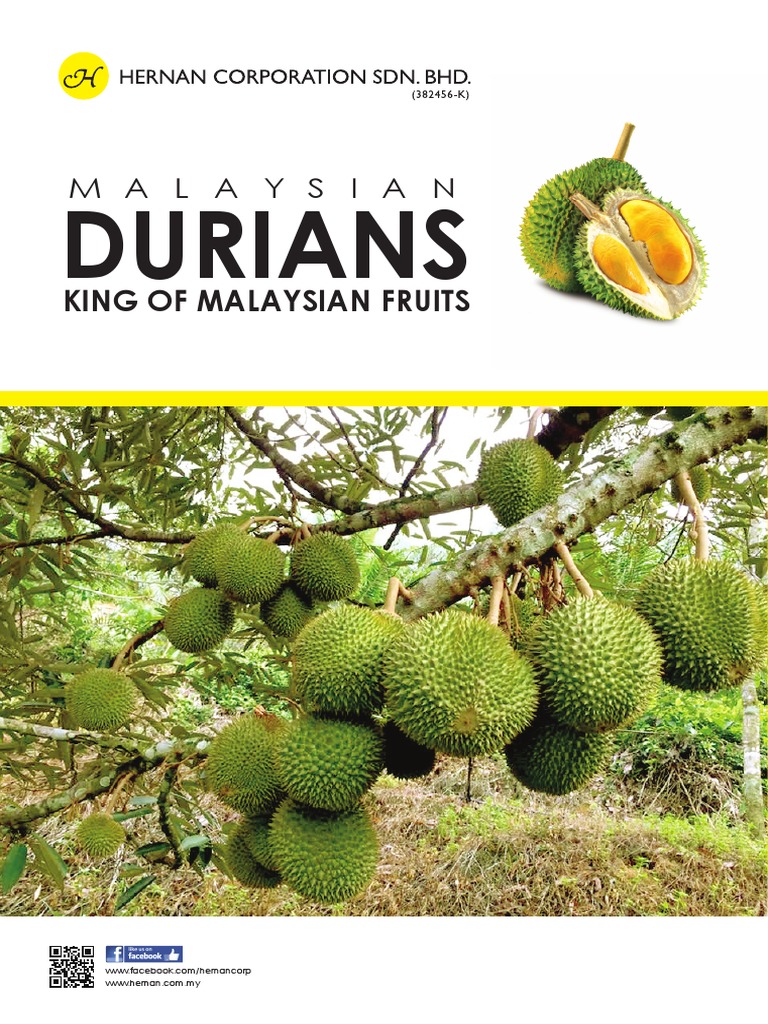Durians: King of Malaysian Fruits | PDF | Vegan Cuisine | Food And Drink