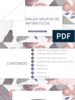 Principales grupos de antibióticos y su mecanismo de acción