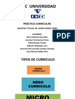 Práctica Curricular