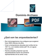 Dominio Archaea