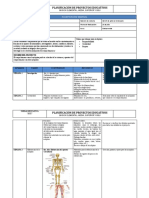 Formatos Proyectos