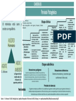 Cuadro Historia Natural