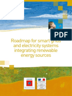 Roadmap For Smart Grids and Electricity Systems