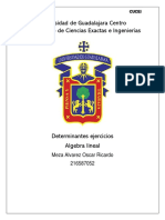 Algebralineal Ejercicios D Determinantes