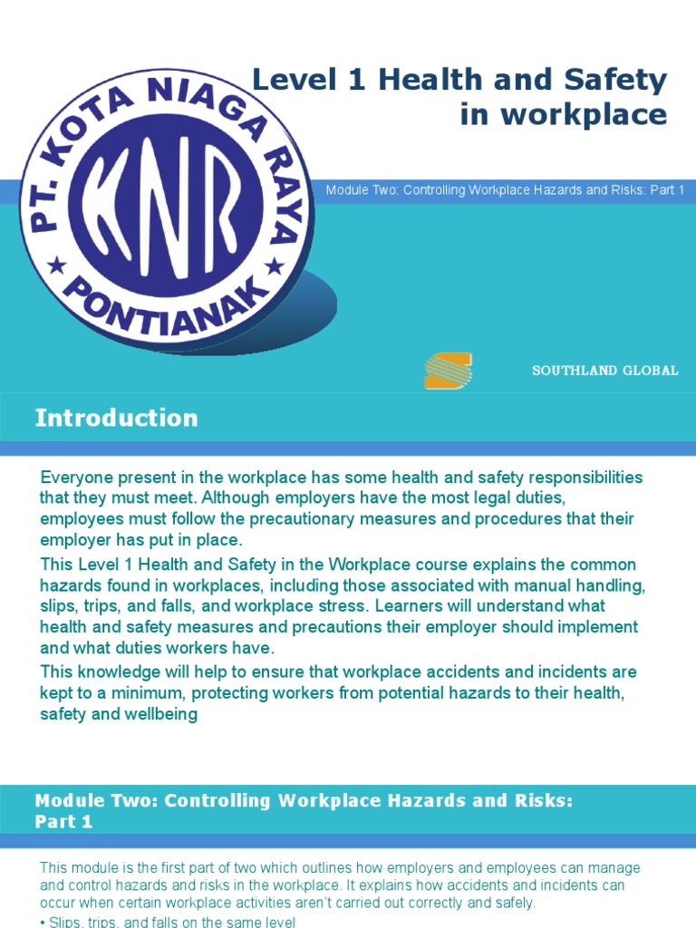 OHS Level 1 Module 2 (Controlling Workplace Hazards and Risks Part 1) | PDF