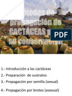 Capacitacion Propagacion de Cactus