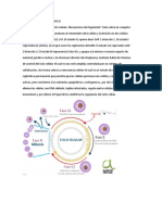 Rudy - Castiblanco - ANALISIS DEL TEXTO CIENTIFICO