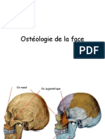 Osteologie de La Face
