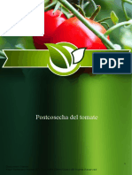 Tomate Postcosecha