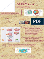 Teoria Endosimbiótica