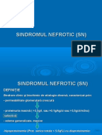 Curs 3 Sindromul Nefrotic Curs Final