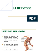 Noé Prepa Sistema Nervioso