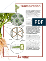 T SC 2550074 Transpiration Information Poster Ver 1