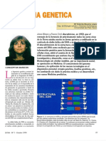 Ingeniería genética: modificación del ADN y sus aplicaciones